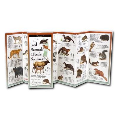 Land Mammals of the Pacific Northwest