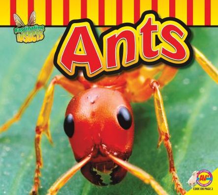 Ants