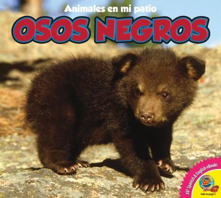 Osos Negros = Black Bears