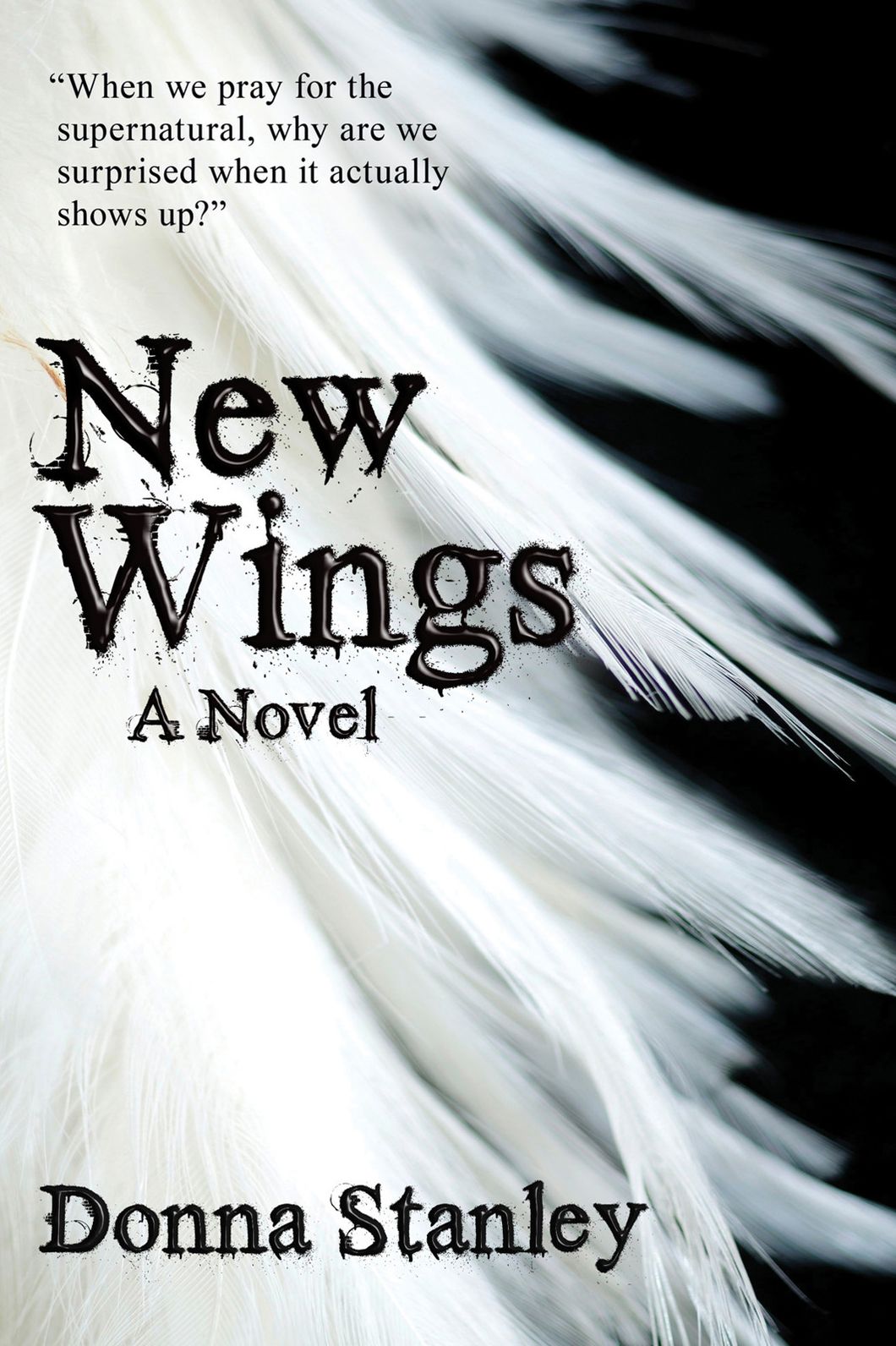New Wings: (Book One of The Guardian Chronicles)