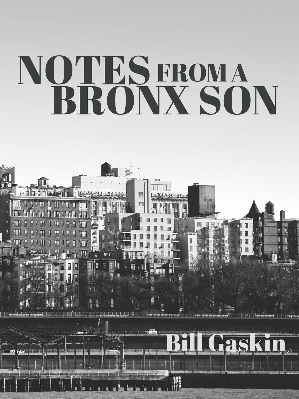 Notes From A Bronx Son