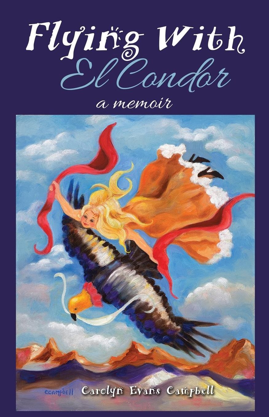 Flying with El Condor