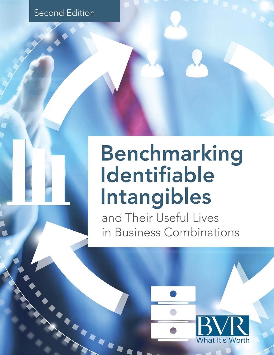 Benchmarking Identifiable Intangibles and Their Useful Lives in Business Combinations, Second Edition