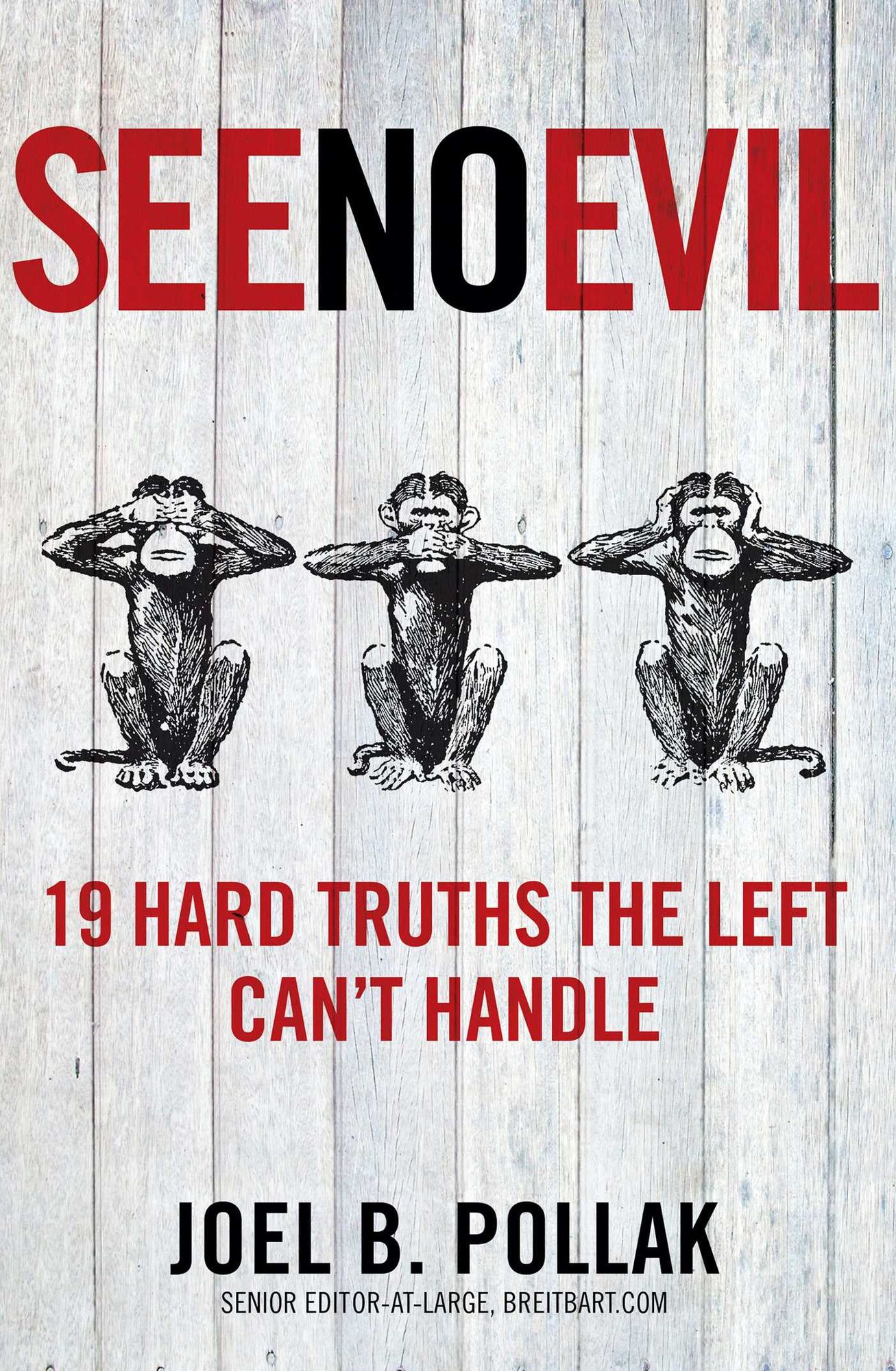 See No Evil: 19 Hard Truths the Left Can't Handle