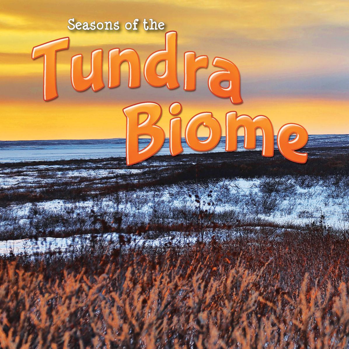 Seasons of the Tundra Biome