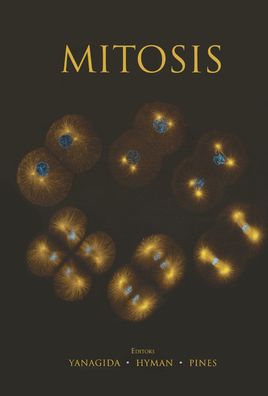 Mitosis