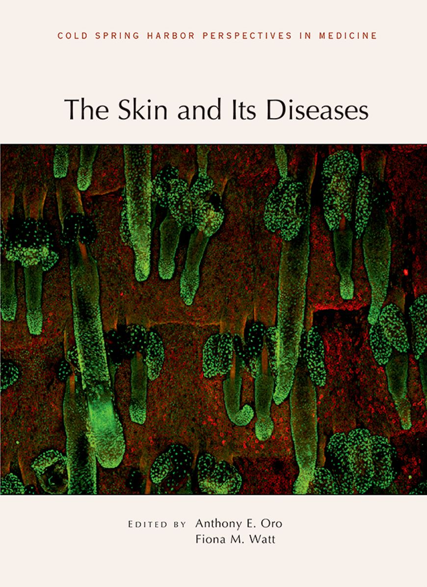 Skin And Its Diseases