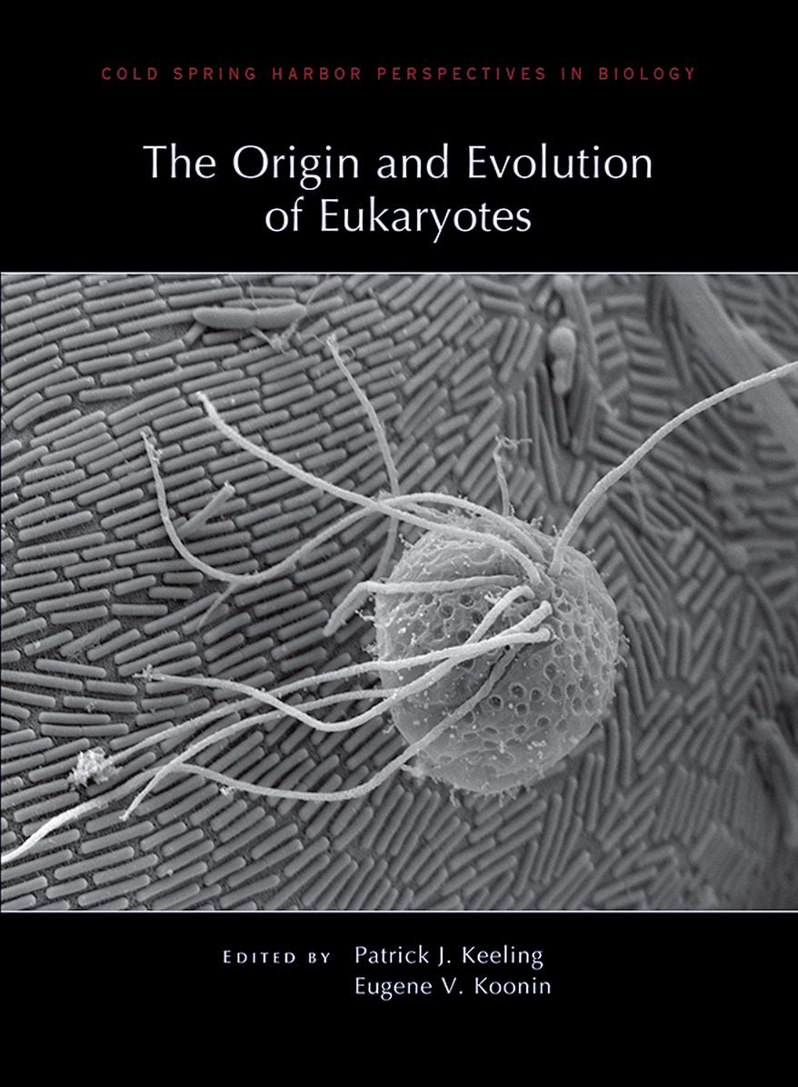Origin And Evolution Of Eukaryotes