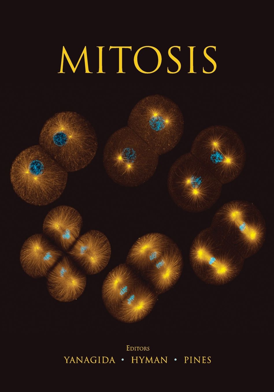 Mitosis