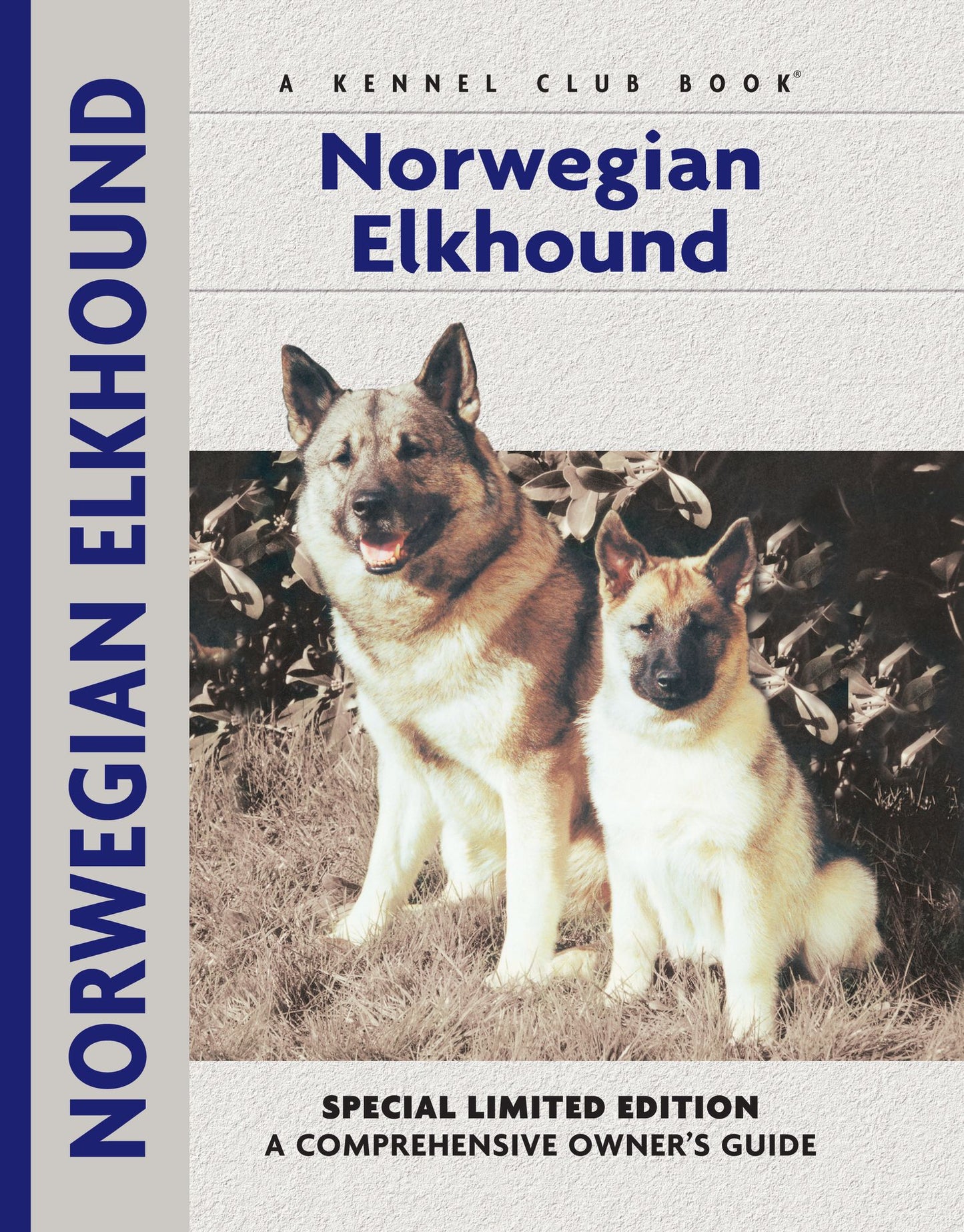 Norwegian Elkhound
