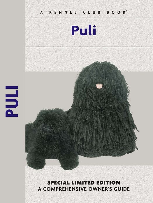 Puli