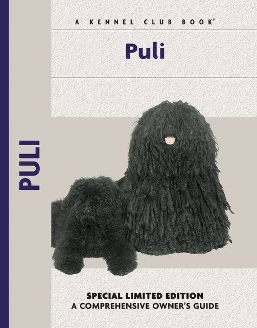 Puli