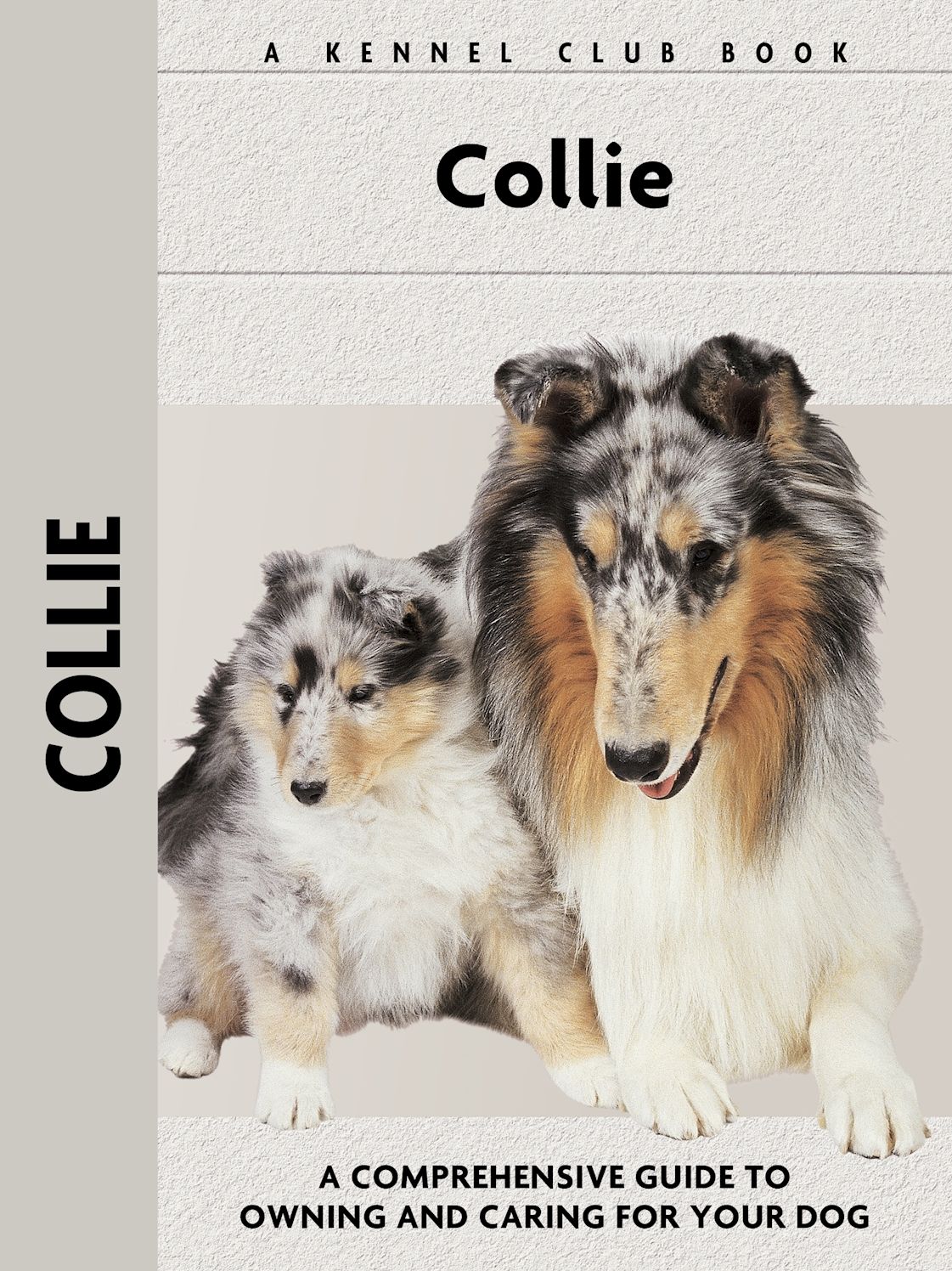 Collie (Comprehensive Owner's Guide)
