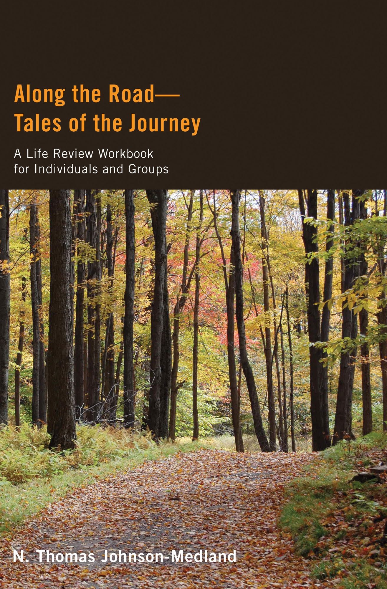 Along the Road-Tales of the Journey: A Life Review WORKBOOK for Individuals and Groups