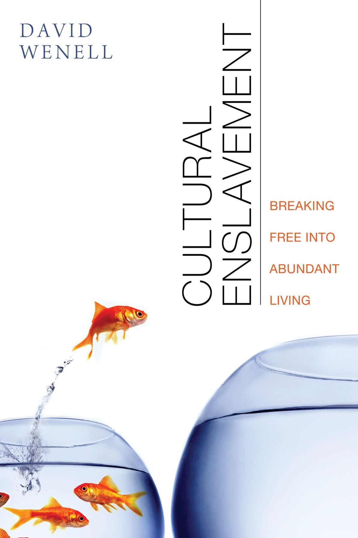 Cultural Enslavement: Breaking Free into Abundant Living