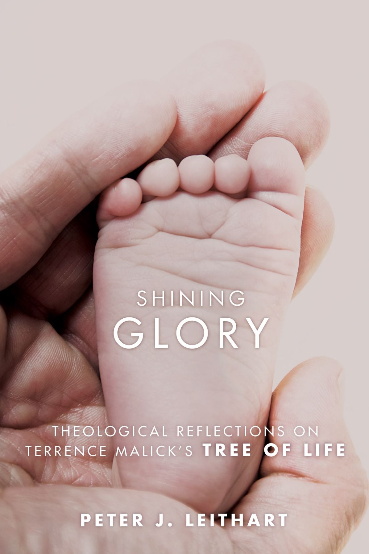Shining Glory: Theological Reflections on Terrence Malick's Tree of Life