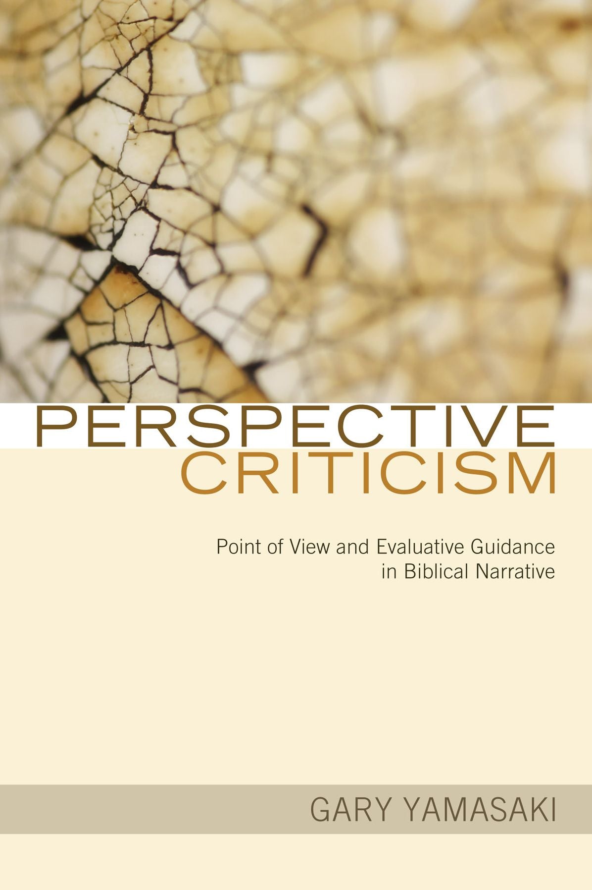 Perspective Criticism: Point of View and Evaluative Guidance in Biblical Narrative
