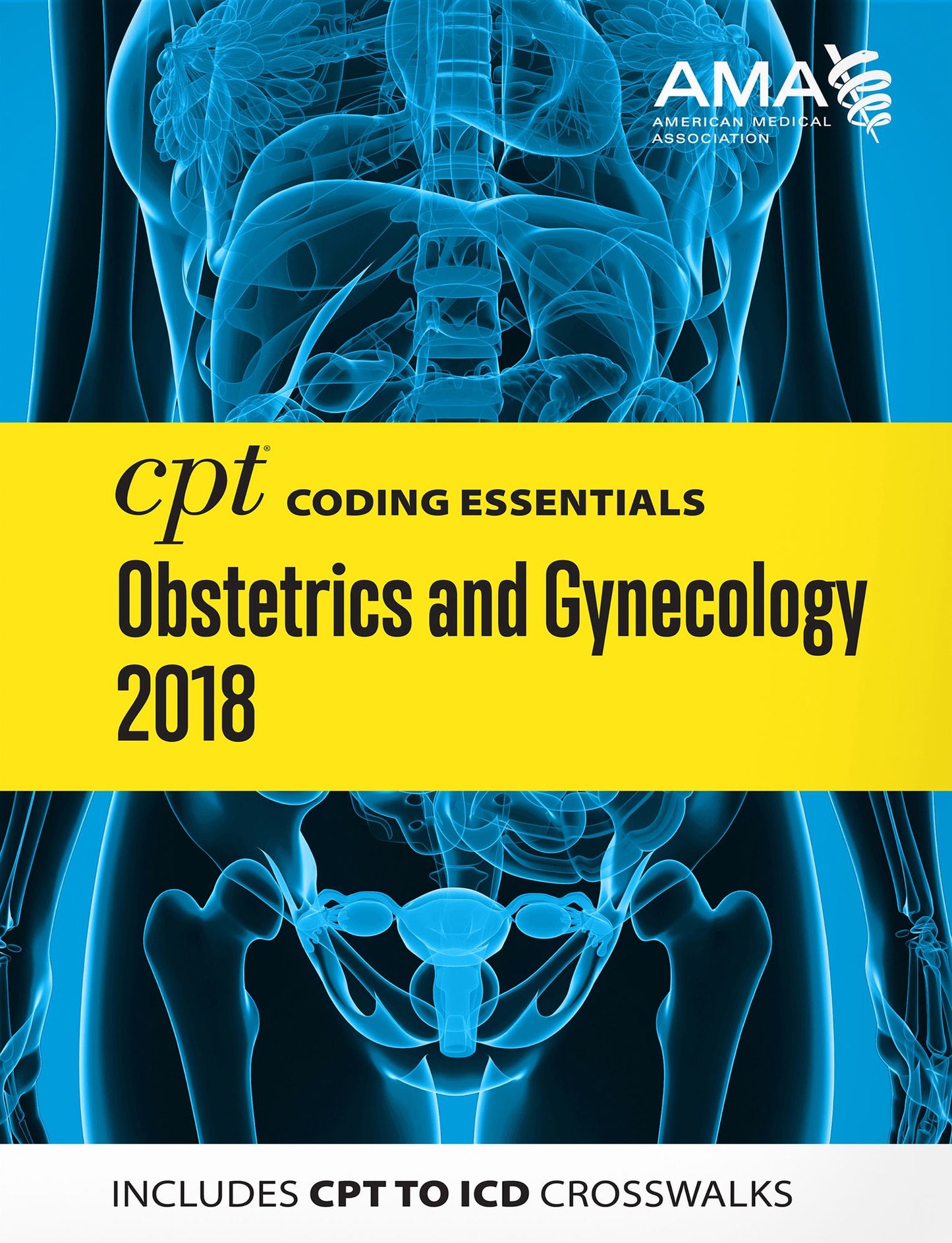 CPT Coding Essentials for Obstetrics and Gynecology