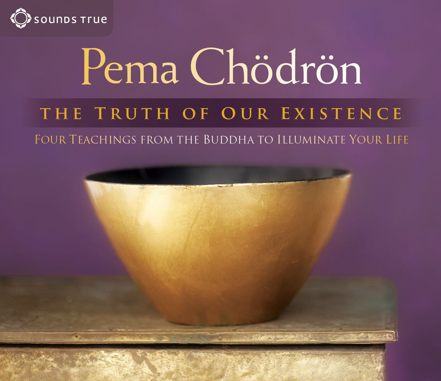 The Truth of Our Existence: Four Teachings from the Buddha to Illuminate Your Life