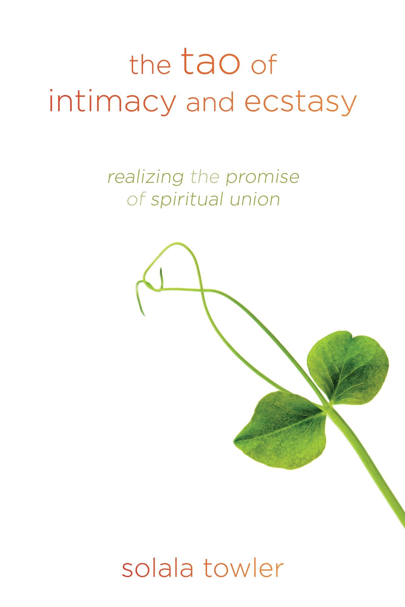 The Tao of Intimacy and Ecstasy: Realizing the Promise of Spiritual Union