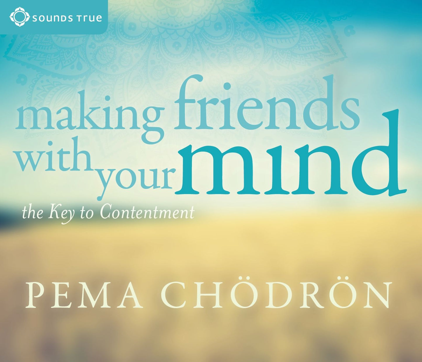 Making Friends With Your Mind: The Key to Contentment