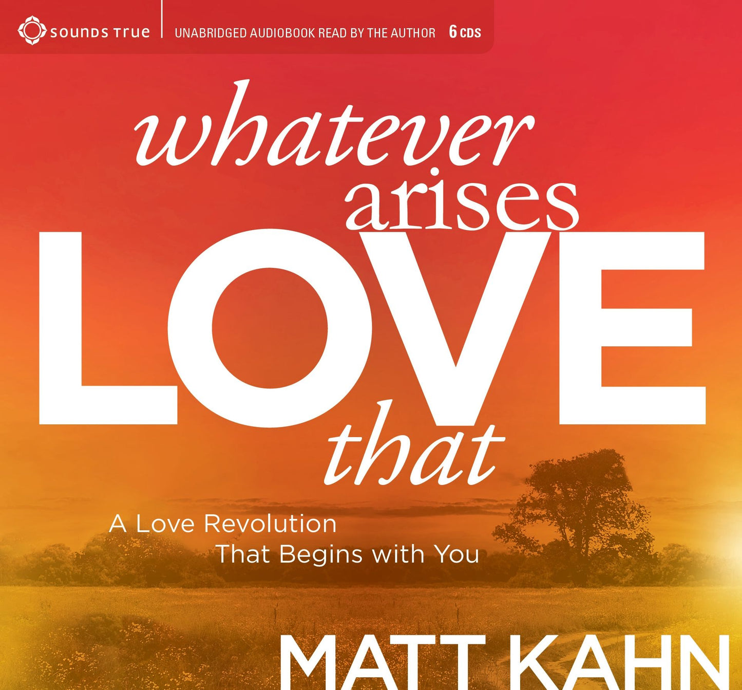 Whatever Arises, Love That: A Love Revolution That Begins with You