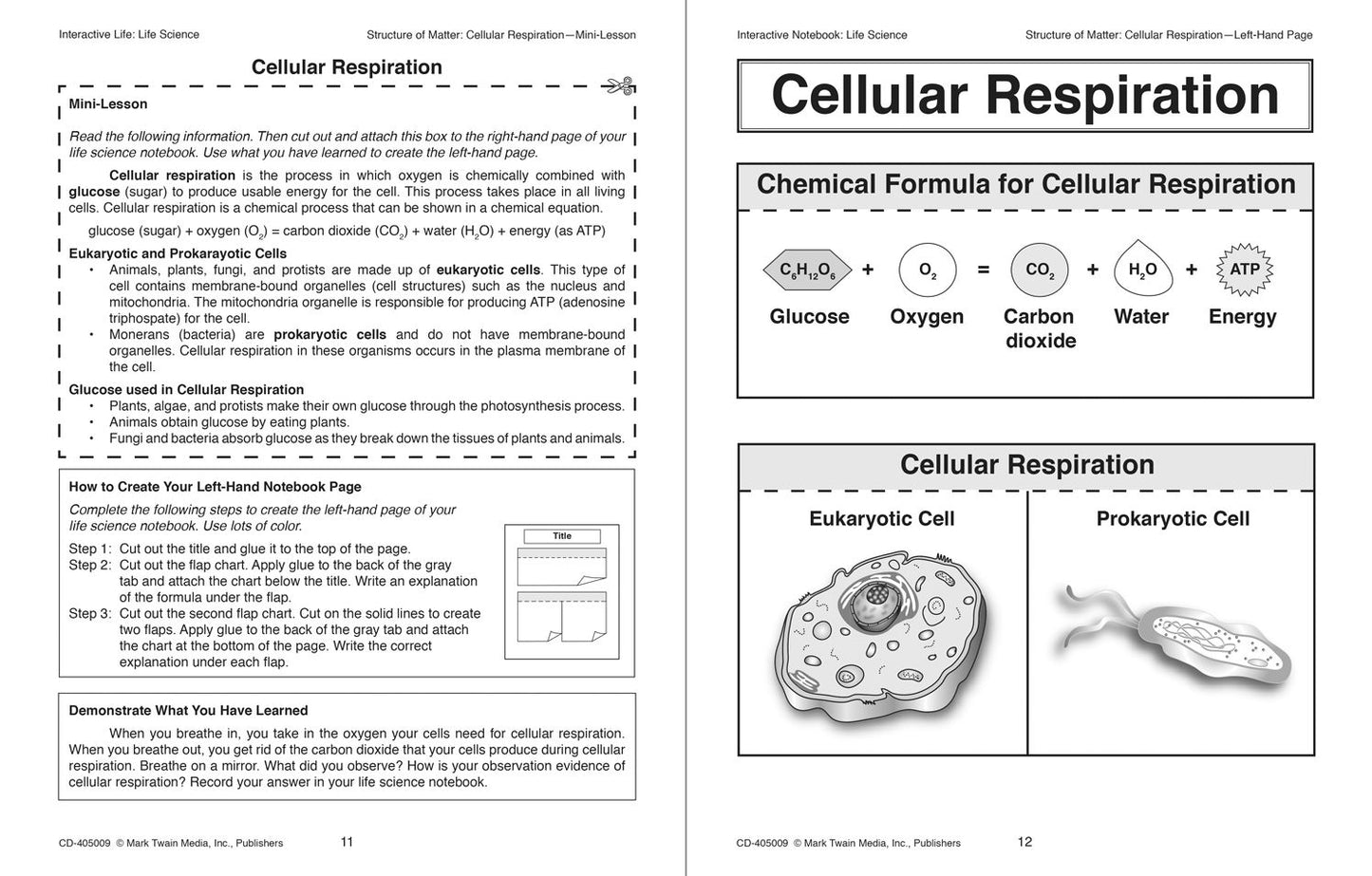 Interactive Notebook: Life Science, Grades 5 - 8