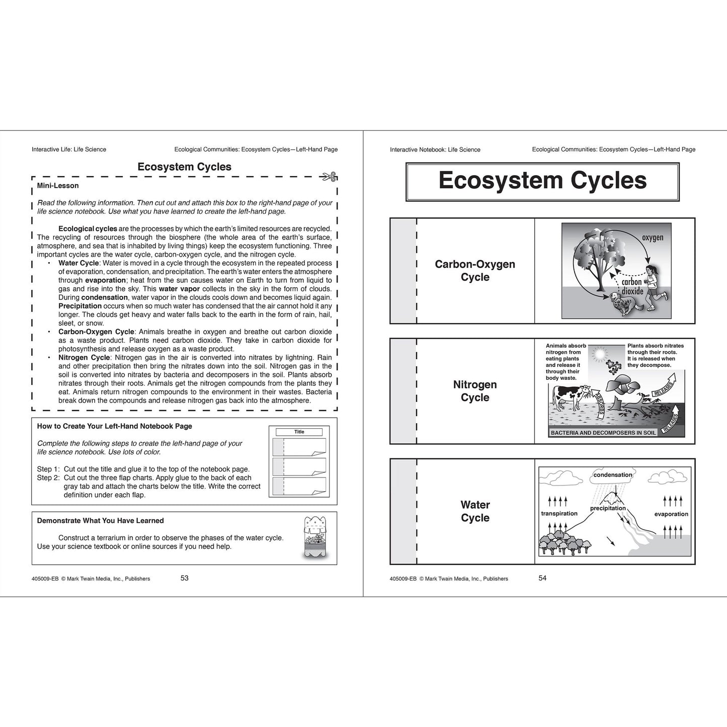 Interactive Notebook: Life Science, Grades 5 - 8