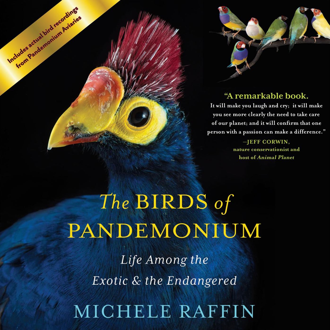 The Birds of Pandemonium: Life Among the Exotic & the Endangered