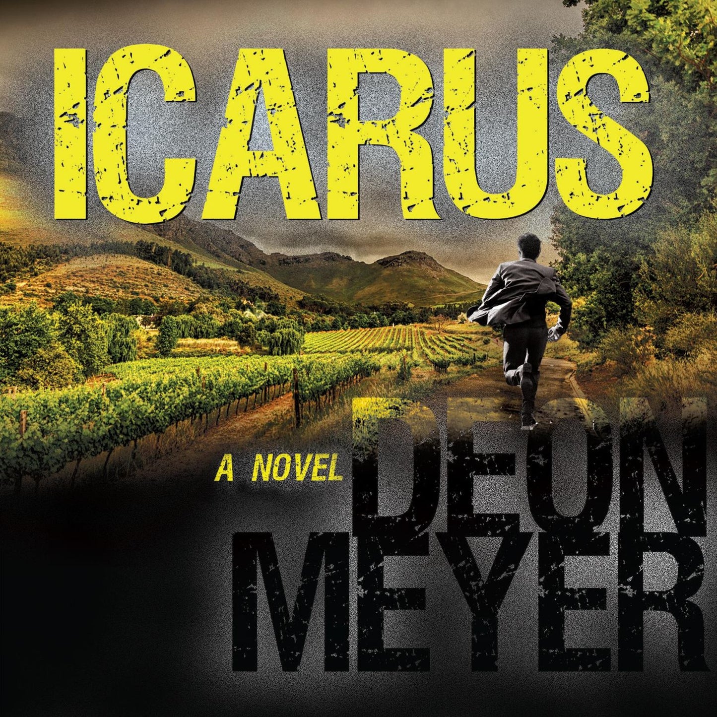Icarus (Benny Griessel Series #5)