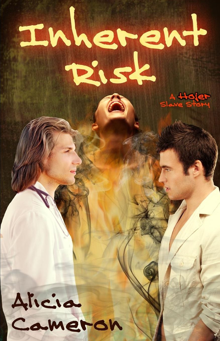 Inherent Risk: A Hojer Slave Story