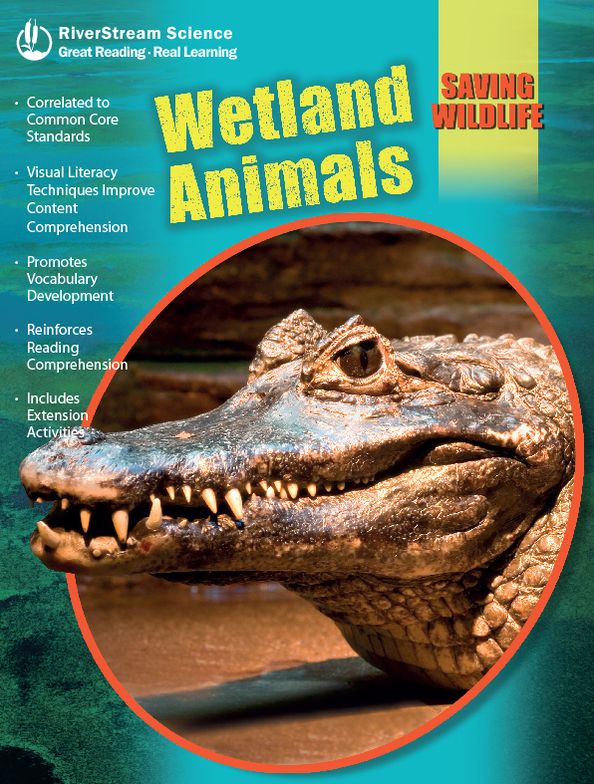 Wetland Animals