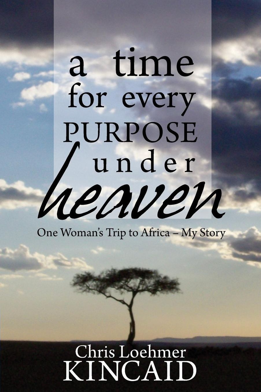 A Time for Every Purpose Under Heaven: One Womans Trip to Africa My Story