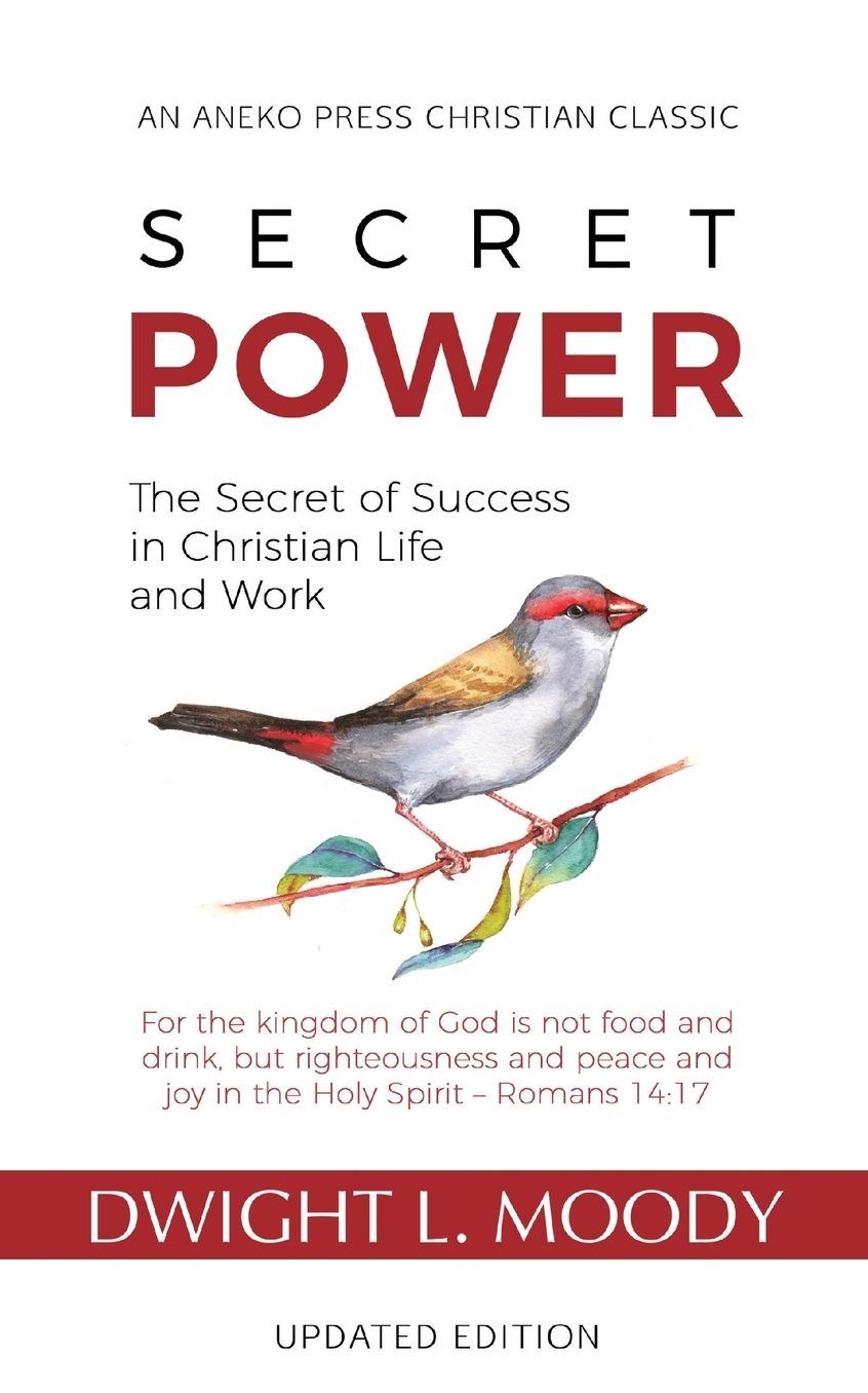Secret Power - Updated Edition: The Secret of Success in Christian Life and Work