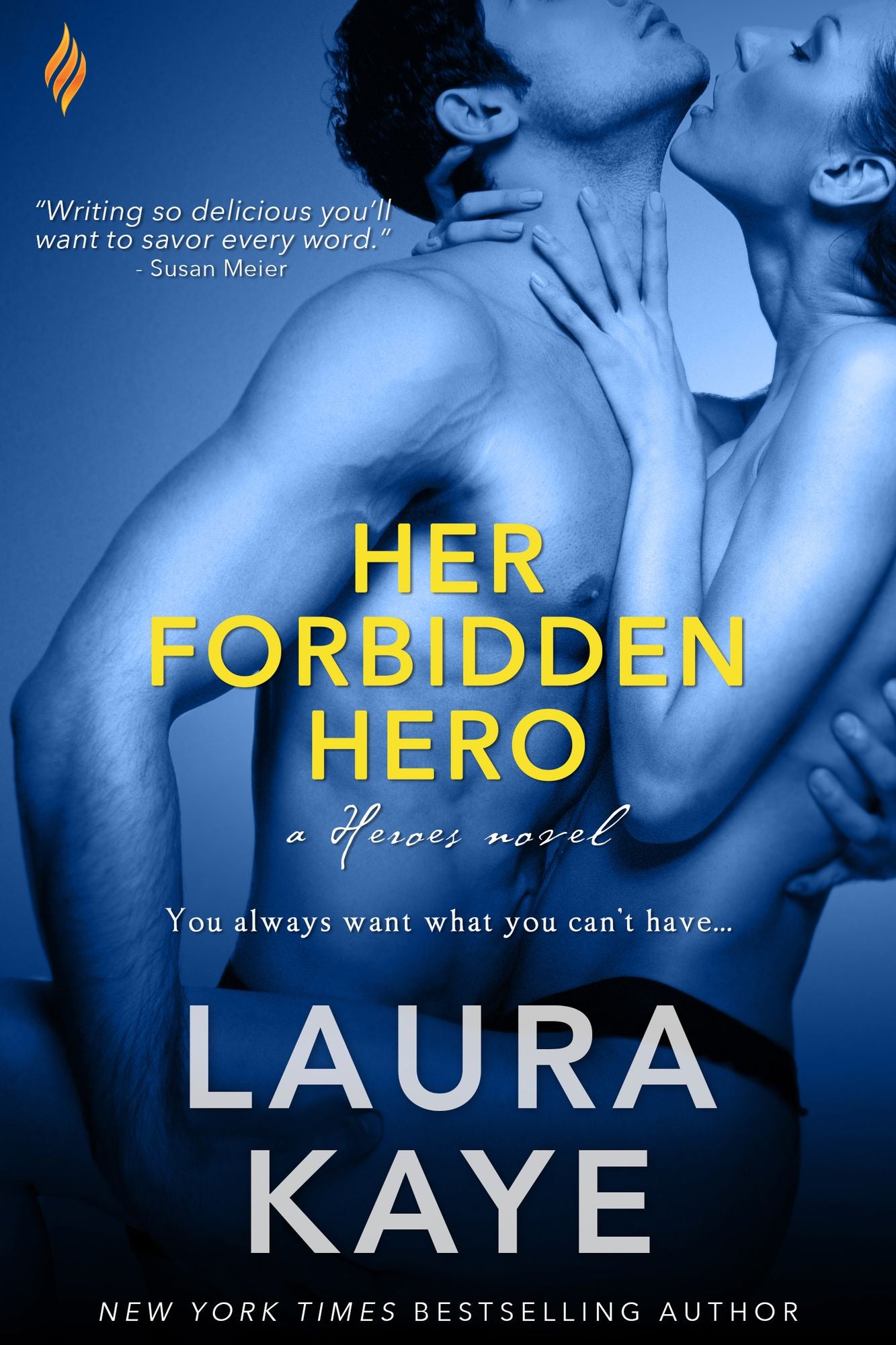 Her Forbidden Hero (Hero Series #1)