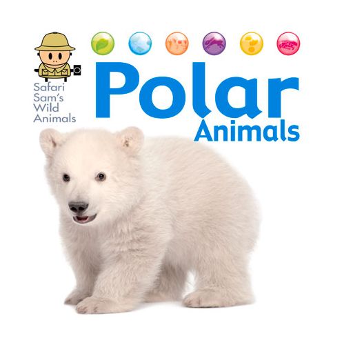Polar Animals