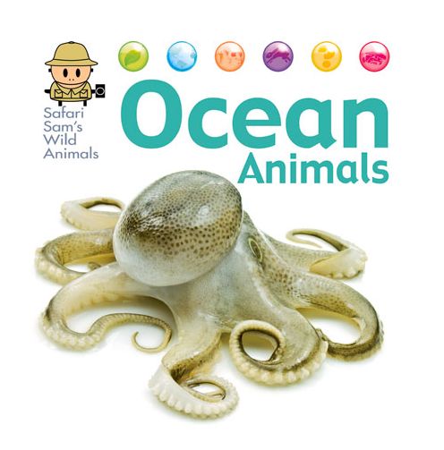 Ocean Animals