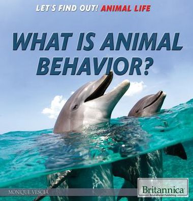 What Is Animal Behavior?