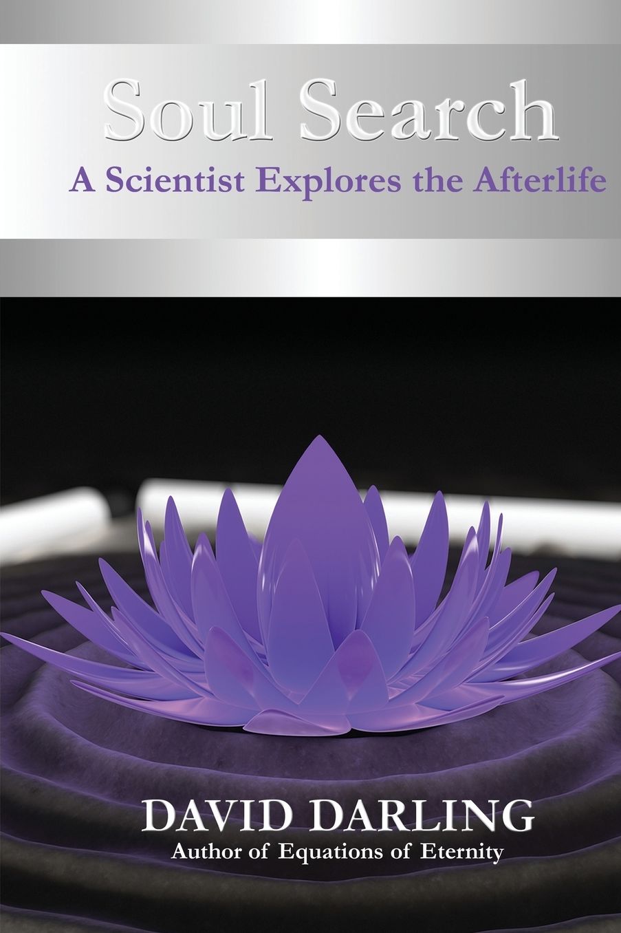 Soul Search, a Scientist Explores the Afterlife
