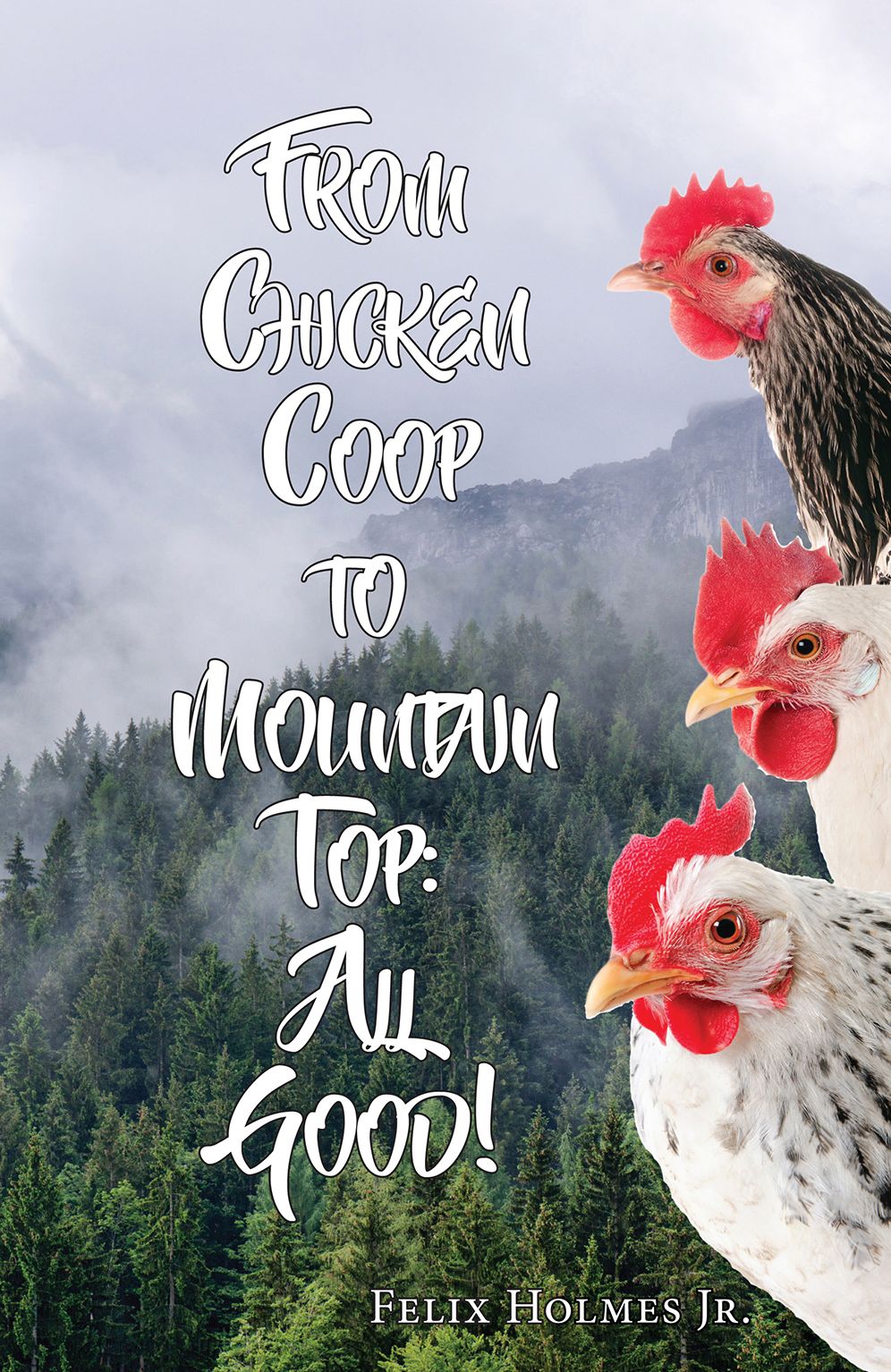 From Chicken COOP to Mountain Top: All Good!