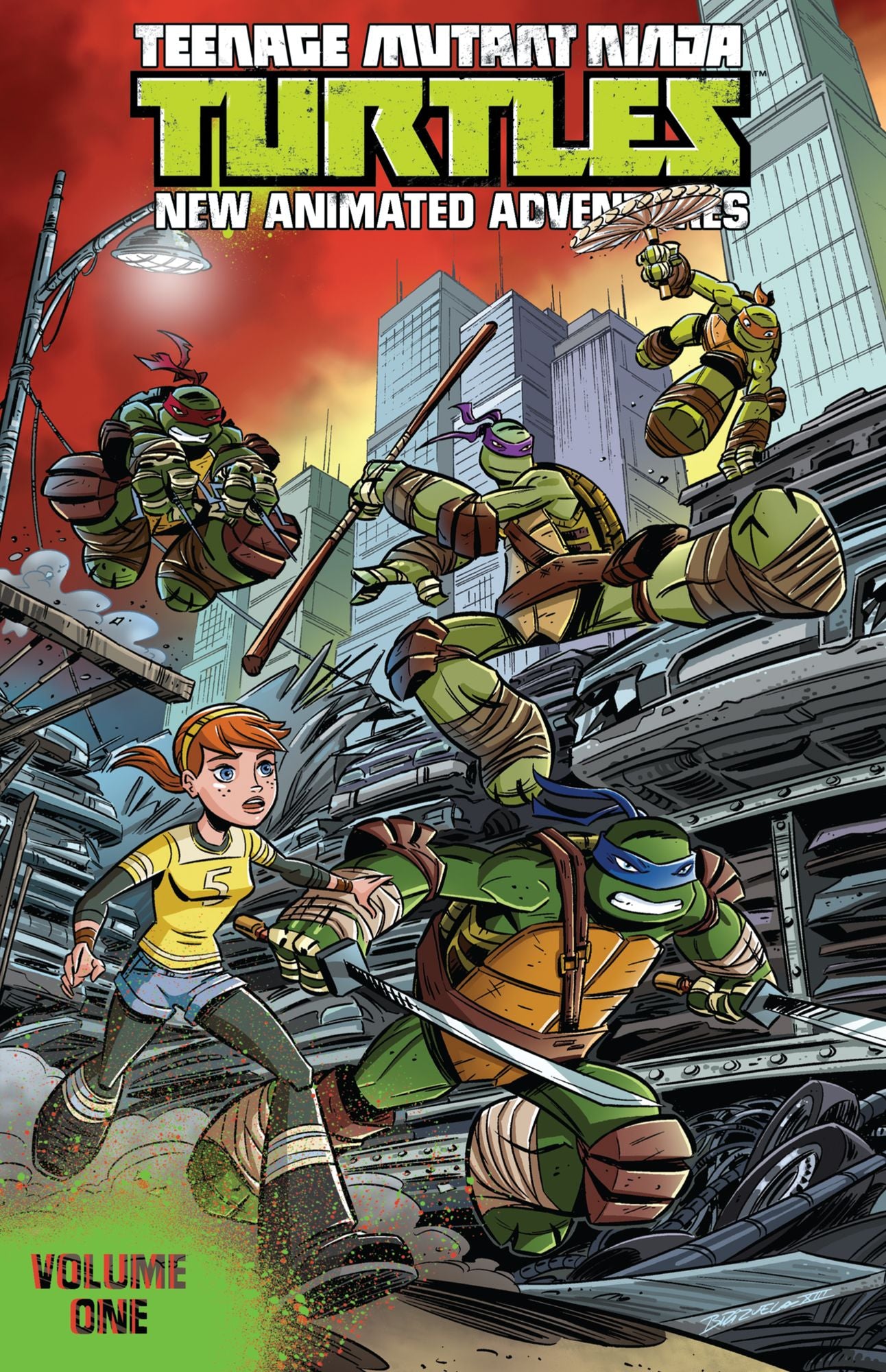 Teenage Mutant Ninja Turtles: New Animated Adventures, Vol. 1