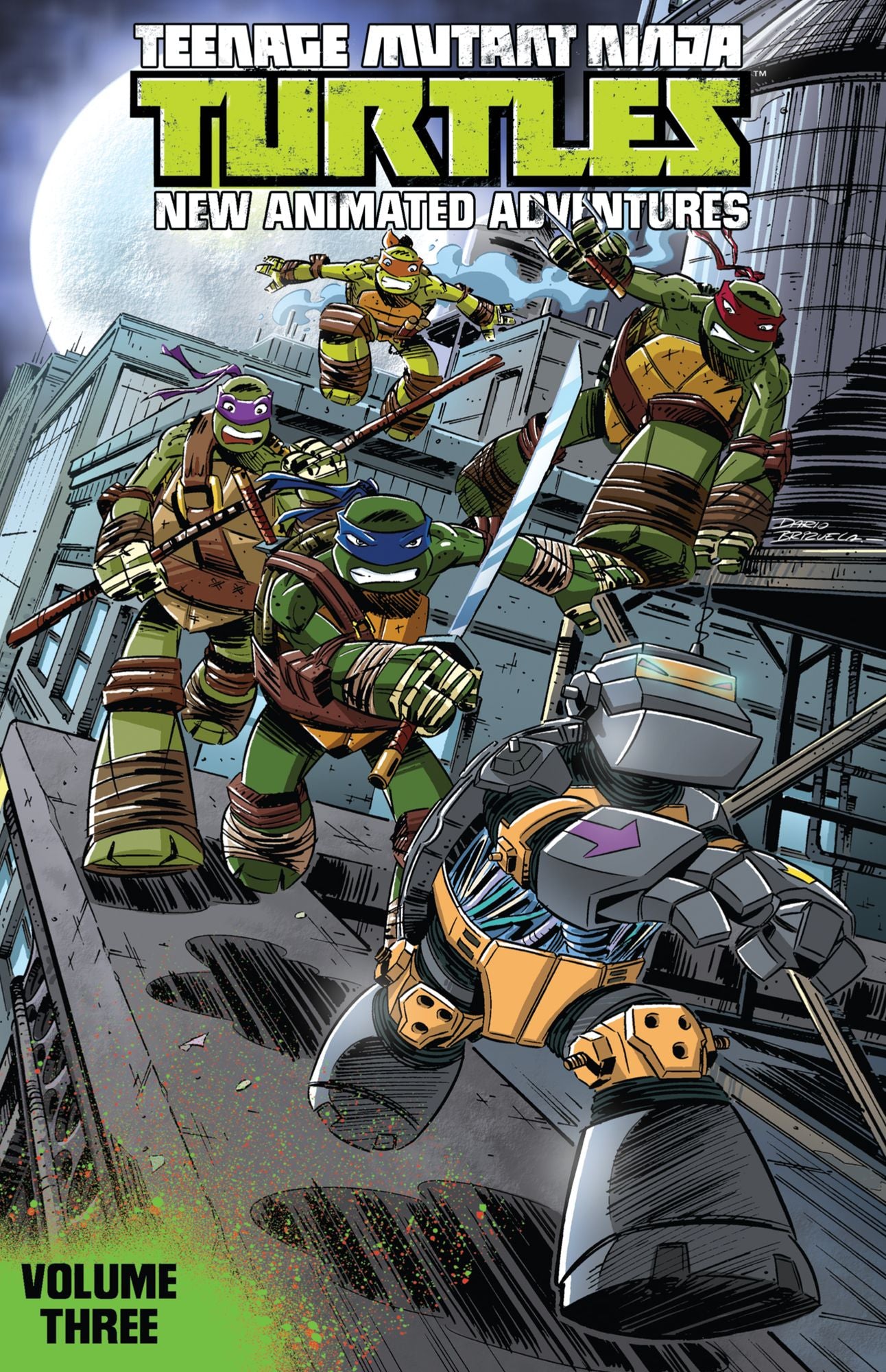 Teenage Mutant Ninja Turtles: New Animated Adventures, Vol. 3