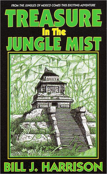 Treasure in the Jungle Mist