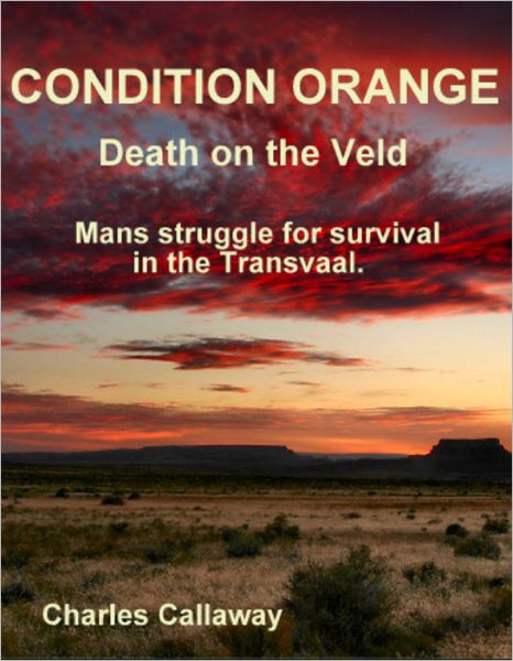 Condition Orange