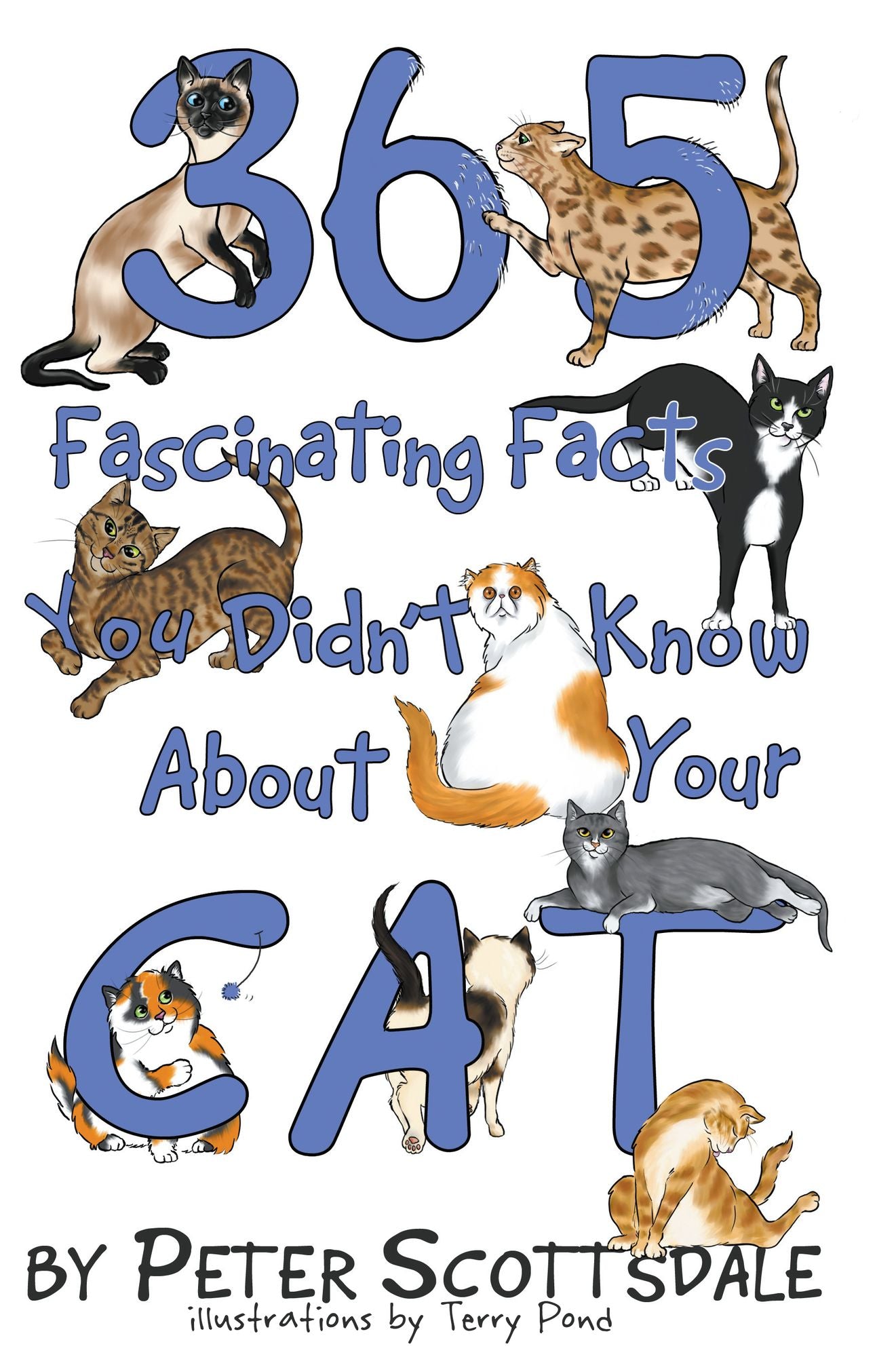 365 Fascinating Facts You Didn't Know About Your Cat