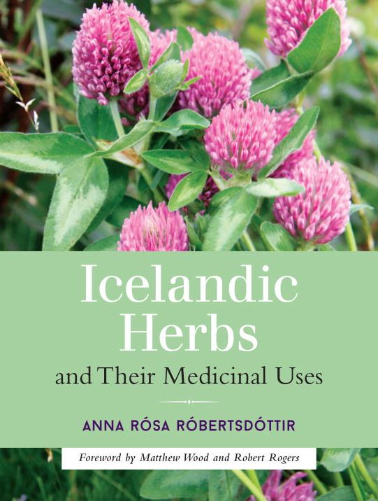 Icelandic Herbs and Their Medicinal Uses
