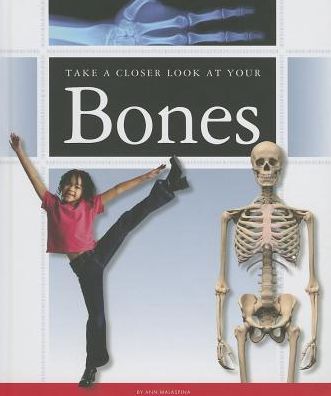Take a Closer Look at Your Bones