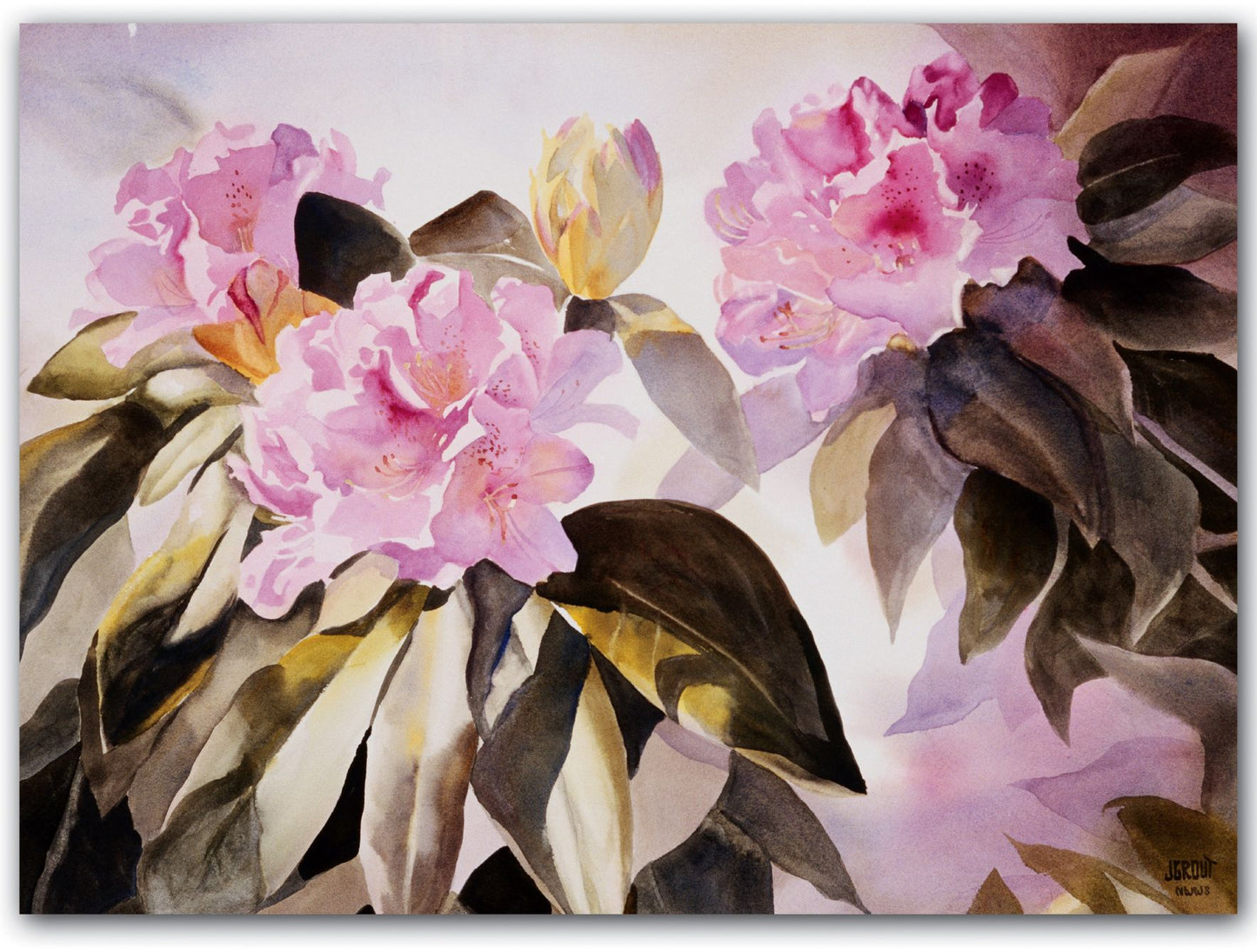 Fine Art Botanicals Notecard Box