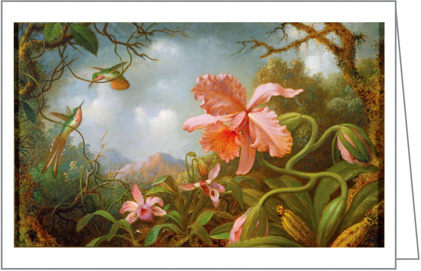 Fine Art Botanicals Notecard Box