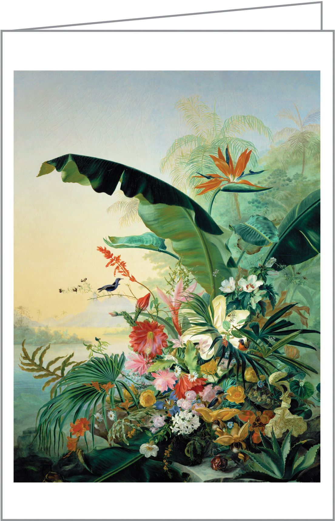 Fine Art Botanicals Notecard Box